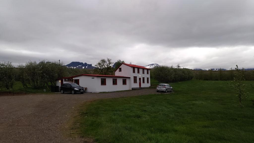 Fossardalur Guesthouse Djúpivogur Buitenkant foto