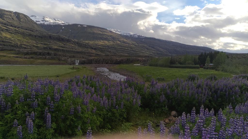 Fossardalur Guesthouse Djúpivogur Buitenkant foto